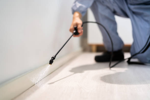 Licensed Termite Control service in North Miami, FL - Nex Pest Control