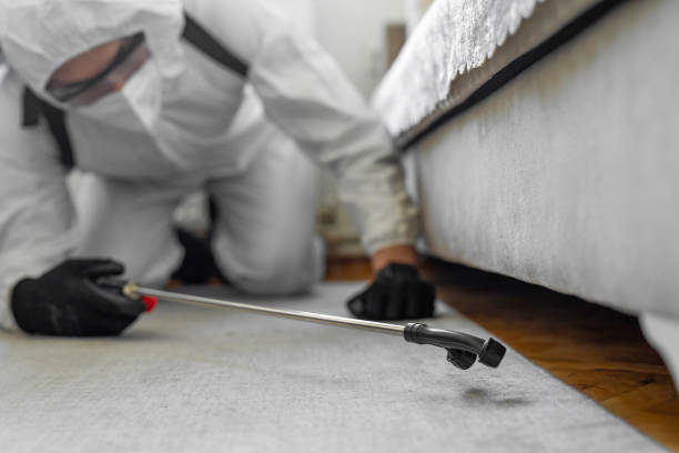 Professional Termite Control technician working in North Miami, FL