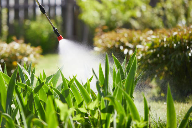 24/7 Emergency Termite Control experts in North Miami, FL