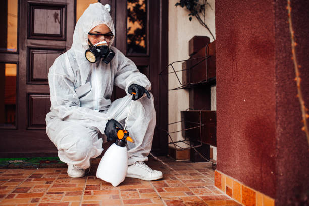 Reliable Termite Control contractor in North Miami, FL by Nex Pest Control